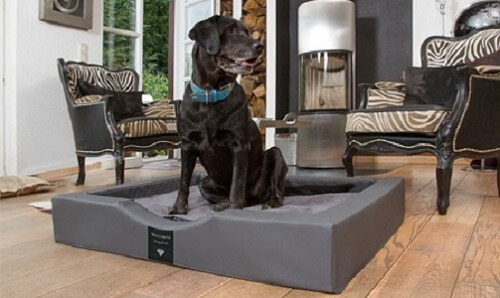 Hundebett COMPACT
